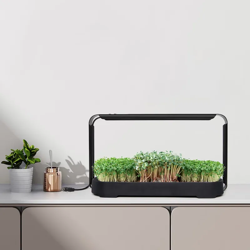 Microgreens Self Watering Hydr - đánh giá và giá Hydroponic Kit