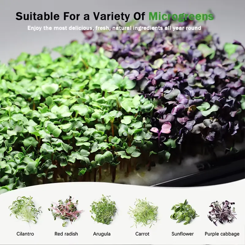 Microgreens Self Watering Hydr - đánh giá và giá Hydroponic Kit