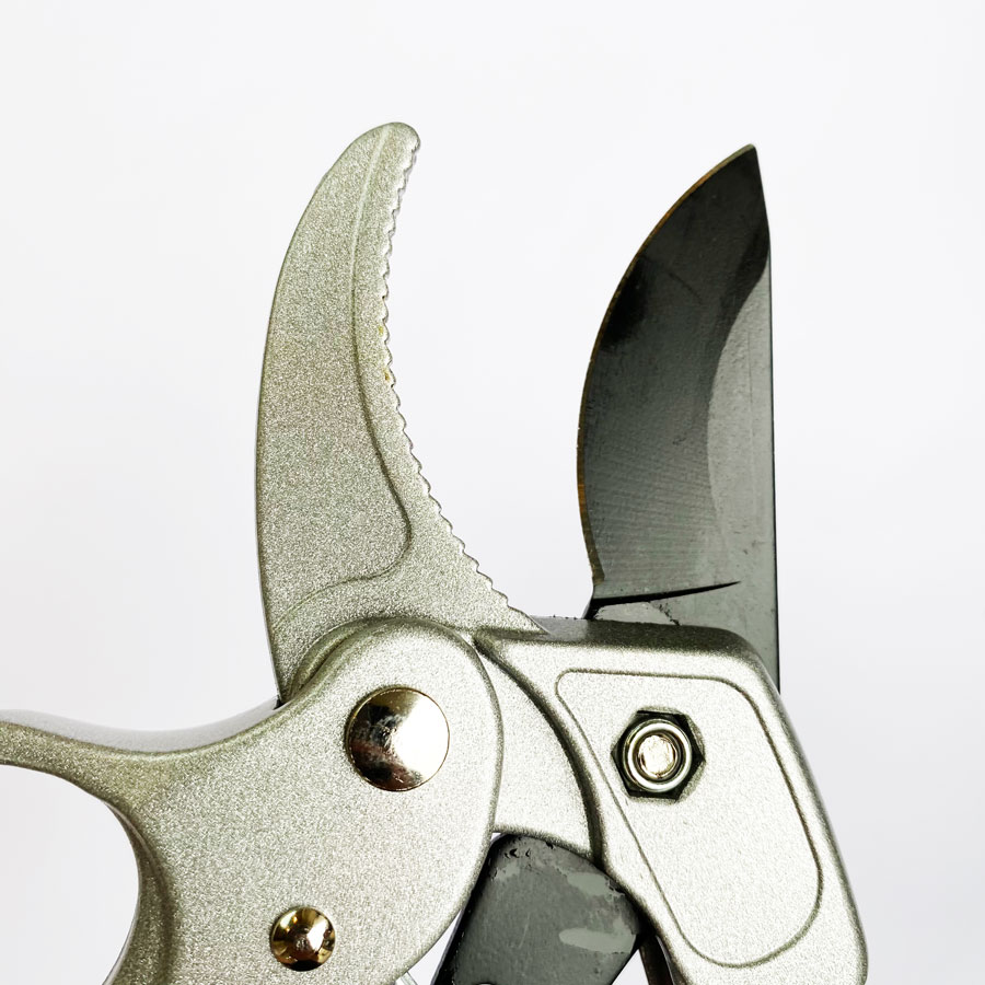 Professional Ratchet Pruning S - đánh giá và giá Pruning Shears