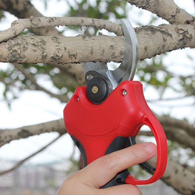 High-Quality Non-Slip Handle G - đánh giá và giá Pruning Shears