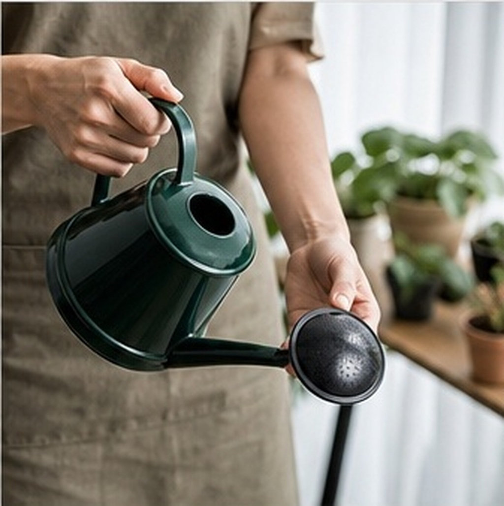 Watering Can Sprinkler Head 6  - đánh giá và giá Watering Can