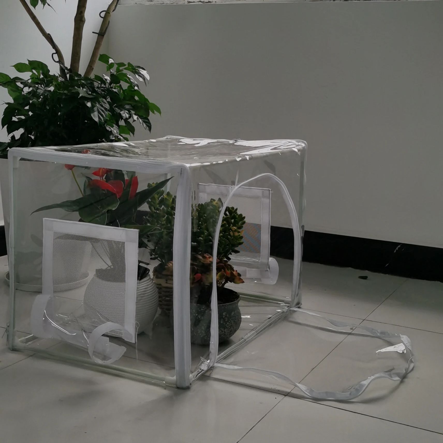 Compact Indoor/Outdoor Greenho - đánh giá và giá Grow Bag
