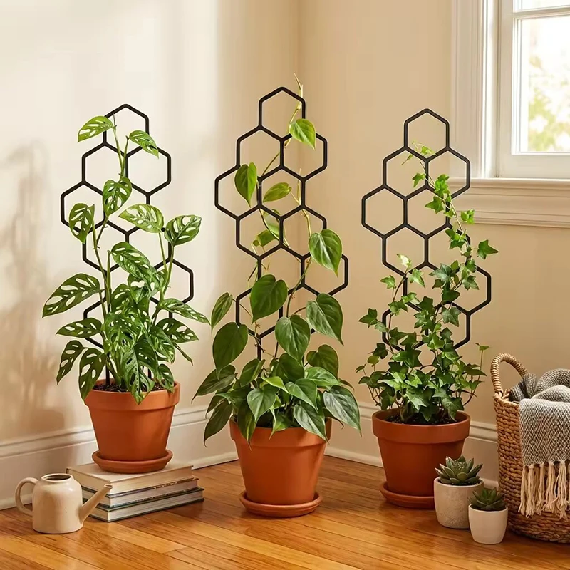 2/4pcs Honeycomb Design Plant  - đánh giá và giá Indoor Herb Garden