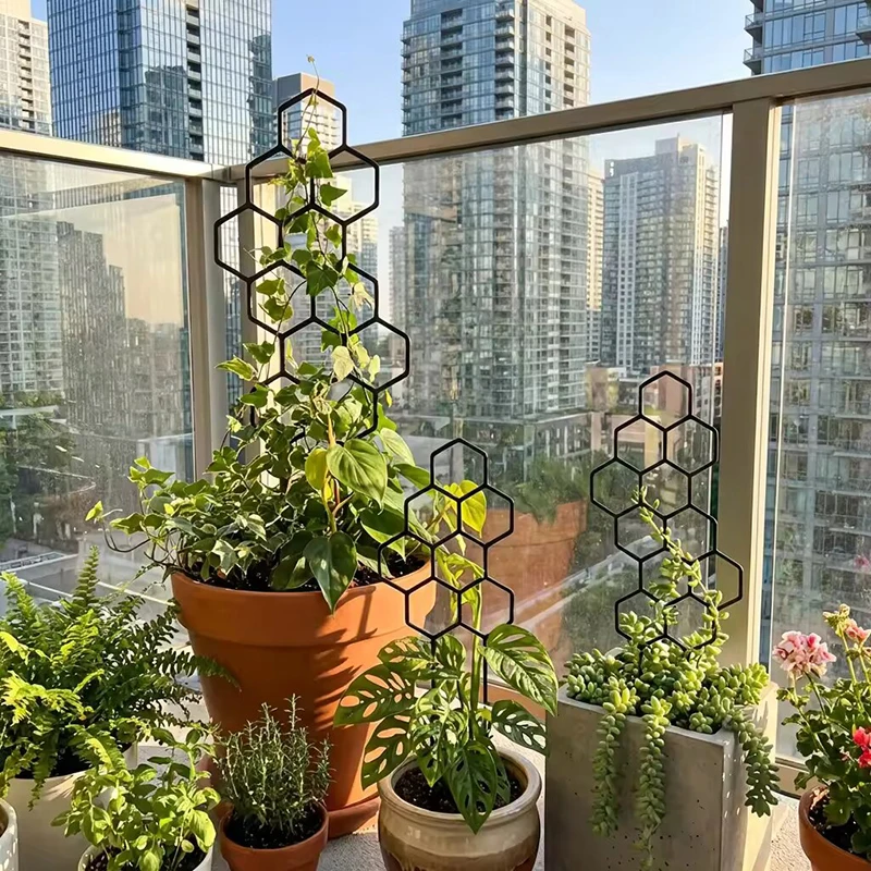 2/4pcs Honeycomb Design Plant  - đánh giá và giá Indoor Herb Garden