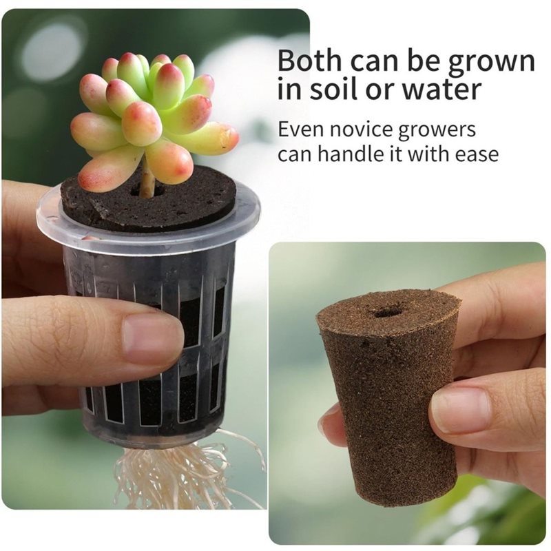 [ABFI!】 Hydroponic Seedling Cu - đánh giá và giá Hydroponic Kit