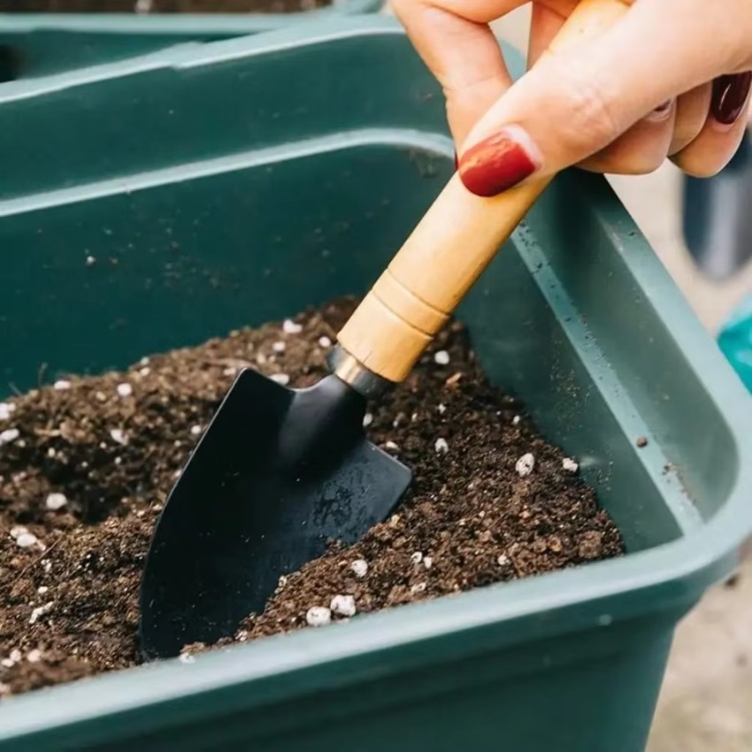 3Pcs/Set Mini Gardening Tools  - đánh giá và giá Trowel Garden Tools