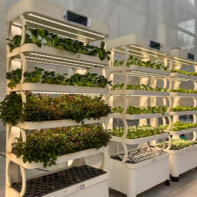 Intelligent Indoor Garden Plan - đánh giá và giá Vertical Planter