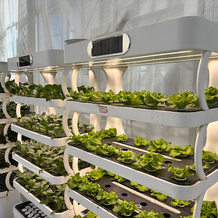 Intelligent Indoor Garden Plan - đánh giá và giá Vertical Planter
