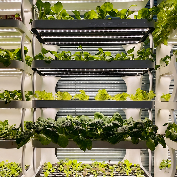 Intelligent Indoor Garden Plan - đánh giá và giá Vertical Planter